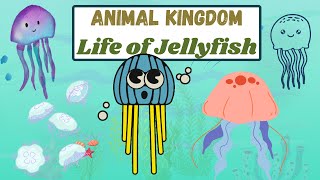 🪼Life of Jellyfish  Educational Facts for Kids [upl. by Emmalee]