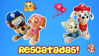 CHASE Y MARSHALL SALVAN A LAS CHICAS Paw Patrol Skye y Everest [upl. by Ahkos]