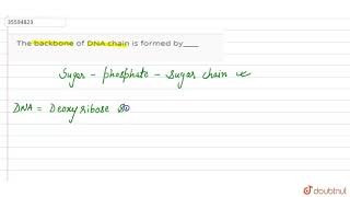 The backbone of DNA chain is formed by [upl. by Kristien325]