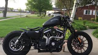 2015 Harley Davidson Iron 883 Walk around [upl. by Ainekahs]