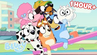 Bluey Seasons 1 and 2 FULL EPISODES 💙 Baby Race Movies Seesaw and more  Bluey [upl. by Ycats]