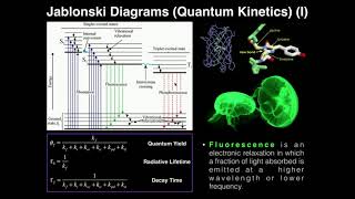 Kinetics Quantum Yield amp Jablonski Diagrams [upl. by Niwdog244]