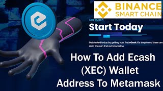 How To Add Ecash XEC Wallet Address To Metamask  Ecash XEC [upl. by Werda]