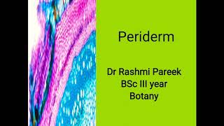 periderm BSc III [upl. by Darrelle]