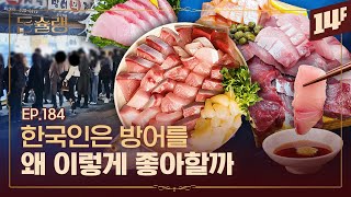 지독한 웨이팅의 맛 대방어🥄ㅣ돈슐랭  14F [upl. by Nodyarb731]