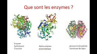 Quest ce quune enzyme [upl. by Ebehp42]