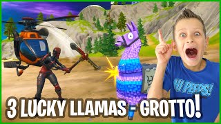 3 LUCKY LLAMAS FROM THE GROTTO [upl. by Adne]