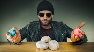 Jai testé les CHAMPIGNONS HALLUCINOGÈNES  le remède de demain [upl. by Fasta]