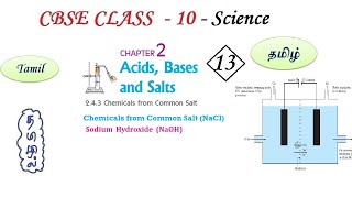 Acids Bases and Salts in Tamil  Part 13  Class 10 Science Chapter 2 Chemistry in Tamil CBSE [upl. by Hartfield]