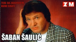 Saban Saulic  Odem ti me vratis  Audio 1998 [upl. by Wessling740]