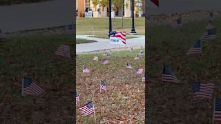 Honoring Veteran day at Longwood University by putting flags November 8 2024 virginia farmville [upl. by Enaud842]