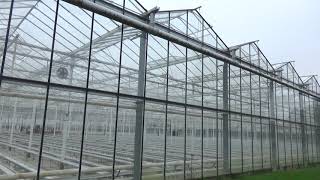 Greenhouse in Holland [upl. by Goldy]