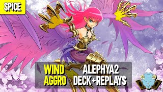 The BEST Wind Harpie Deck In Goat Format with AlephYa2 [upl. by Aelaza]