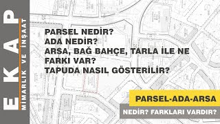 ARSA TARLA ZEYTİNLİK ve ADA  PARSEL NEDİR Aralarında ne fark vardır [upl. by Eed284]