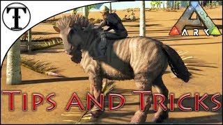 Fast Equus Horse Taming Guide  ARK  Survival Evolved Tips and Tricks [upl. by Rep50]