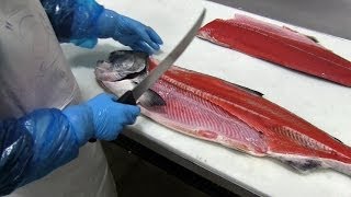 How to Fillet Chinook King Salmon [upl. by Idou]