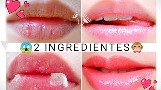 Cómo hidratar tus LABIOS en 2 MINUTOS 💋 [upl. by Namrak]