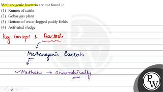 Methanogenic bacteria are not found in 1 Rumen of cattle 2 Gobar gas plant 3 Bottom of wat [upl. by Eilama]