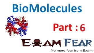 Chemistry Biomolecules part 6 Glucose Structure open chain Fisher CBSE class 12 XII [upl. by Kohcztiy]