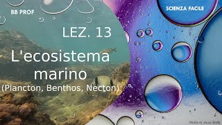 Lezione 13  Ecosistema marino Plancton Benthos Necton [upl. by Atiana]