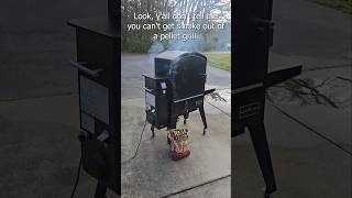 Real smoke flavor from a pellet grill shorts shortvideo short pelletgrill [upl. by Witty]