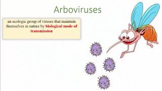 Arboviruses [upl. by Andrew]