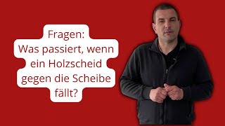 Frage Was passiert wenn ein Holzscheit gegen die Kaminscheibe fällt [upl. by Ylro417]