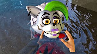 Swimming lesson for Roxy  VR [upl. by Sheryle360]