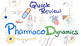 Pharmacodynamics  What the med does to your body  Quick Review  Pharmacology Lectures [upl. by Renelle523]