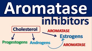 Aromatase inhibitors [upl. by Trebeh251]