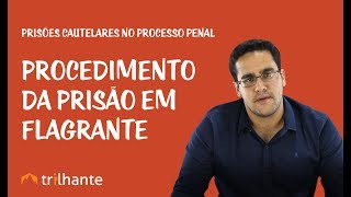 Prisões Cautelares no Processo Penal  Procedimento da Prisão em Flagrante [upl. by Gombosi]