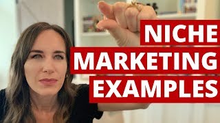 Niche Marketing Examples and how they make money [upl. by Aynekat186]