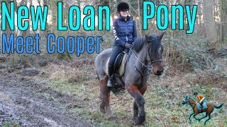 New Loan Pony  Meet Cooper [upl. by Chyou398]