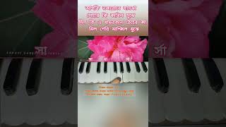 Aapki नजरों ने সমঝা Harmonium 🎹 shortfeed [upl. by Minna]