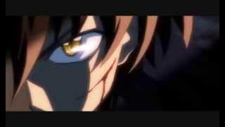 Tarin Heartnet  Black Cat AMV  Nanne Gronvall [upl. by Asin]