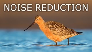 Noise Reduction in Adobe Photoshop CC [upl. by Garrik]