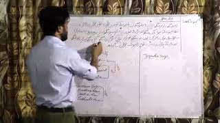 how to write jamabandi and how to calculate hassa Kashi  how to digitise jamabandi [upl. by Loss864]