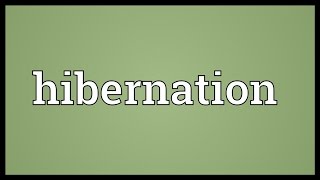 Hibernation Meaning [upl. by Lionello985]