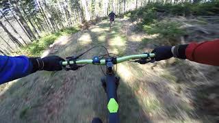 MTB Trail Erzgebirge Schwarzwassertal [upl. by Bbor]