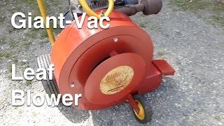 Locked Up GiantVac Leaf Blower  Will It Run [upl. by Gold]