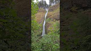 🐴⛲️ Horsetail Falls stovetopgarage4574 [upl. by Showker]