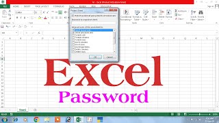 excel password recovery  excel password  password protect excel  excel password remover [upl. by Arlyne885]