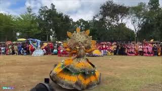 Festival Queen TRIPS amp FALLS in Princess Dress during a Festival in Wao Lanao del Sur Philippines [upl. by Nnodnarb]