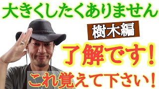 【切るならここでしょ！】園芸店長が植物の剪定の仕方を教えます 植物を切ったことがない方必見です。切りたくて仕方がなくなります 剪定方法の中から透かし剪定を教えます japan garden [upl. by Jerrol]