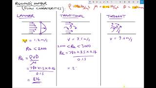 Using Reynolds Number to Determine Flow Characteristics [upl. by Eniamor507]