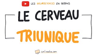 LE CERVEAU TRIUNIQUE  Les neurosciences en dessins [upl. by Nonnaehr]