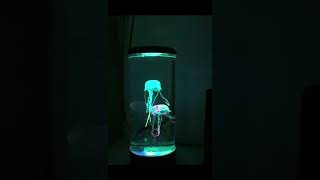 Jellyfish Lamp [upl. by Noir172]