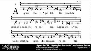 Agnus Dei II from Mass II Gregorian Chant [upl. by Yhpos]