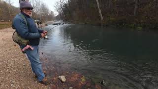 Roaring River Trout [upl. by Immanuel]