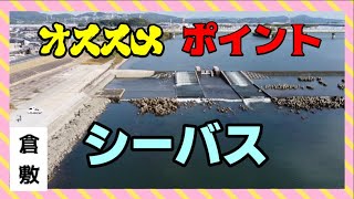 【岡山・倉敷】シーバスオススメポイント 高梁川潮止 [upl. by Pascasia]